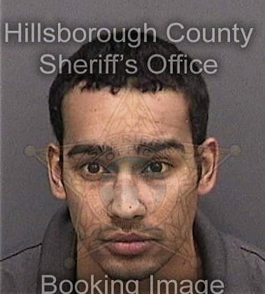 Cameron Olivent, - Hillsborough County, FL 