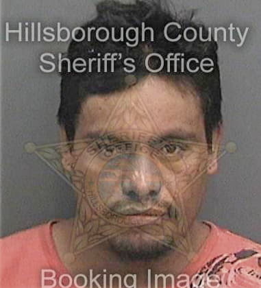 Dominic Rondinelli, - Hillsborough County, FL 