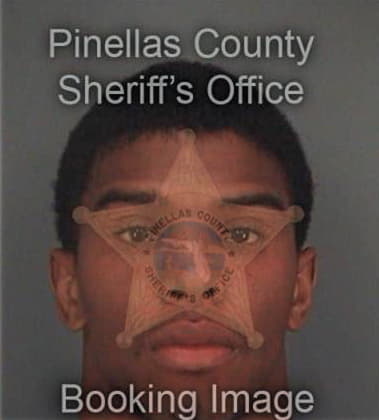 Nobel Spires - Pinellas County, FL 