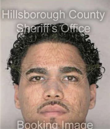 Joel Alsina, - Hillsborough County, FL 