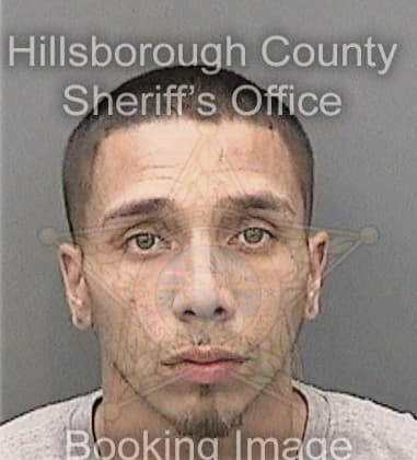 Ryan Capps, - Hillsborough County, FL 