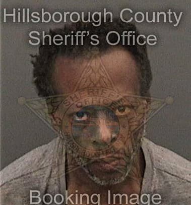 Timothy Fowler - Hillsborough County, FL 