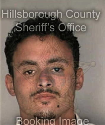Lee Henson - Hillsborough County, FL 