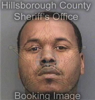 Delton Hollis, - Hillsborough County, FL 