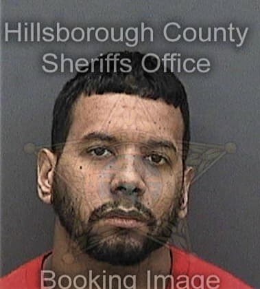 Ramon Lugo, - Hillsborough County, FL 