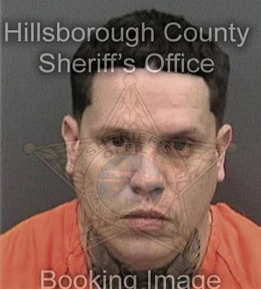 Jonathan Mercer - Hillsborough County, FL 