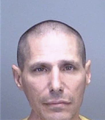 Michael Ulmer, - Pinellas County, FL 