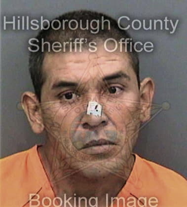 David Valesano, - Hillsborough County, FL 