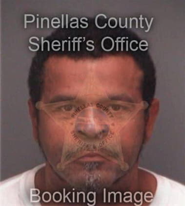 Alonso Cruzhernandez, - Pinellas County, FL 