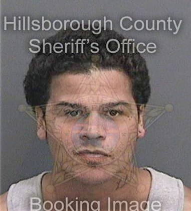 Yoel Escandonferra, - Hillsborough County, FL 