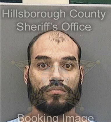 David Kleiman, - Hillsborough County, FL 