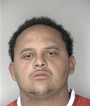 Haroon Mahsel, - Hillsborough County, FL 