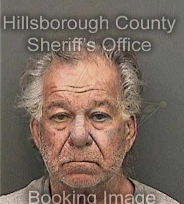 Justin Styron, - Hillsborough County, FL 