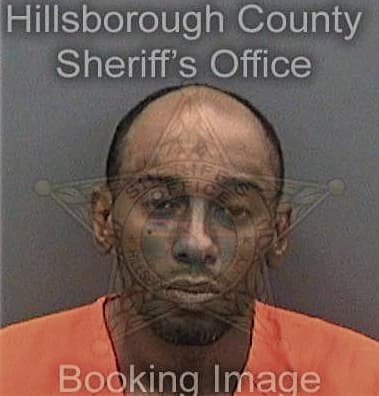 Jamon Williams, - Hillsborough County, FL 