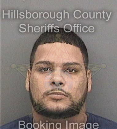 Charles McDaniel - Hillsborough County, FL 