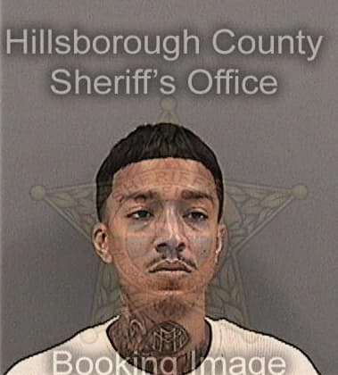 Larry McElwreath - Hillsborough County, FL 