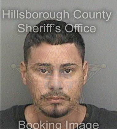 Luis Santiago, - Hillsborough County, FL 