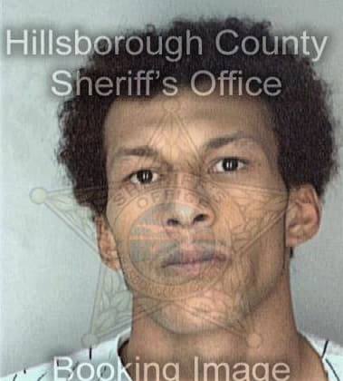 Theodore Williams, - Hillsborough County, FL 