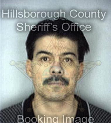 Robert Dipaula, - Hillsborough County, FL 