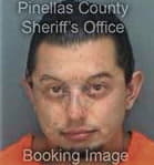 Sean Ferraresi, - Pinellas County, FL 