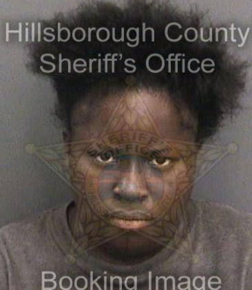 Denise James, - Hillsborough County, FL 