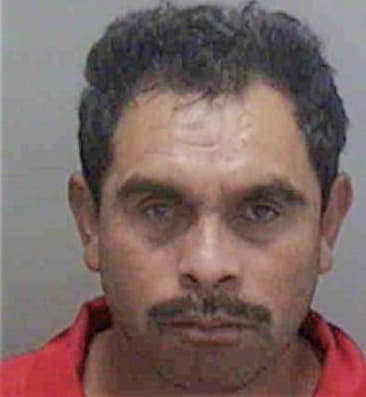 Julio Martinez-Hernandez, - Lee County, FL 