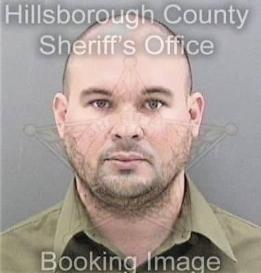 Nicholas Medley - Hillsborough County, FL 
