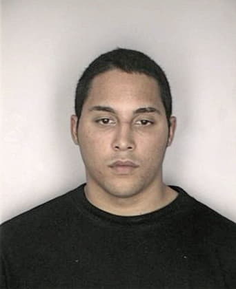 Juan Mesa - Hillsborough County, FL 