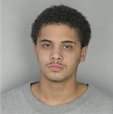 Daniel Mitchell - Hillsborough County, FL 