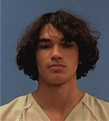 Michael Newton - Williamson County, TX 