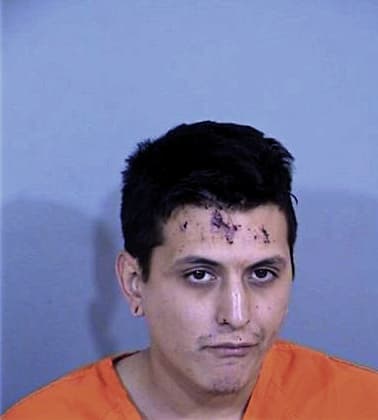 Enrique Rodriguez-Garcia - Maricopa County, AZ 