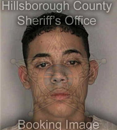 Danny Staggs - Hillsborough County, FL 