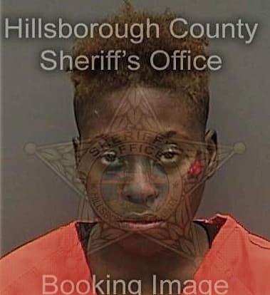 Amber Henry - Hillsborough County, FL 