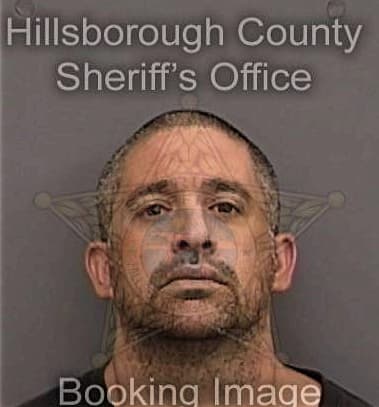 Guilmar Lopez-Jimenez, - Hillsborough County, FL 