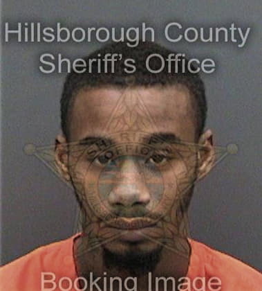 Ronald Milliron - Hillsborough County, FL 