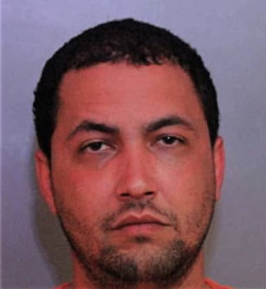 Maldonado Prieto, - Polk County, FL 