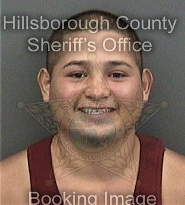 Sean Ainslie, - Hillsborough County, FL 