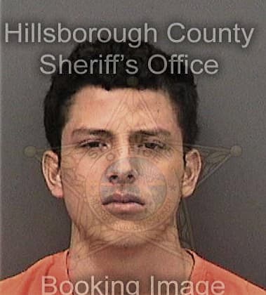 Jerimiah Davis, - Hillsborough County, FL 