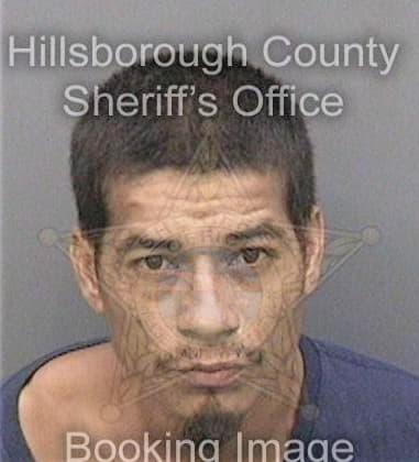 Michael Hall, - Hillsborough County, FL 