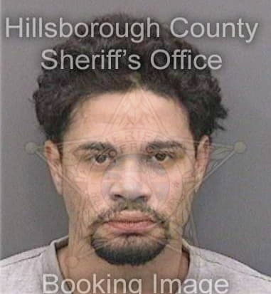 Carlos Iglesias, - Hillsborough County, FL 