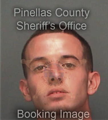 Nicholas Kleiber, - Pinellas County, FL 