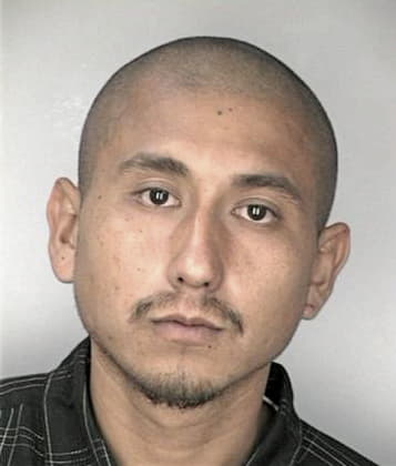 Gabriel Perezvargas, - Hillsborough County, FL 