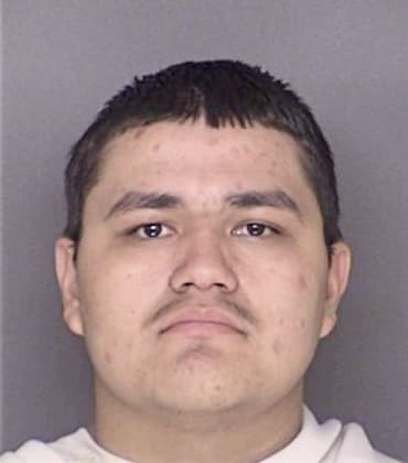 Vicente Portillo, - Ellis County, TX 