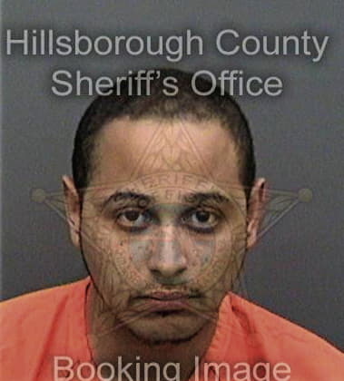 Donte Walker, - Hillsborough County, FL 