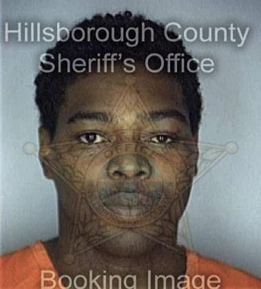 Charles Williams - Hillsborough County, FL 