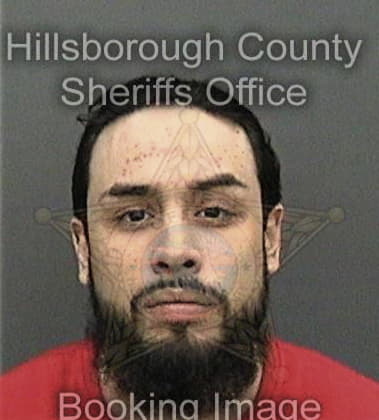 Hervin Alzate, - Hillsborough County, FL 