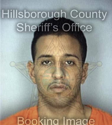 Sean Brinton - Hillsborough County, FL 