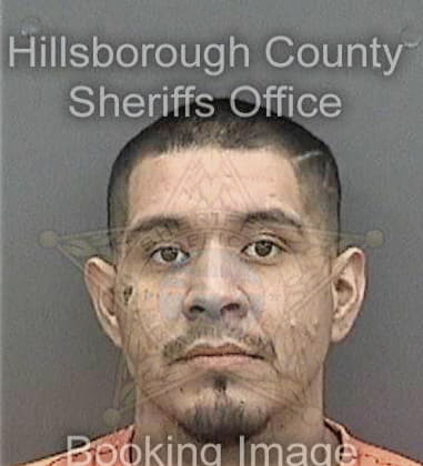 Ricky Bronson, - Hillsborough County, FL 