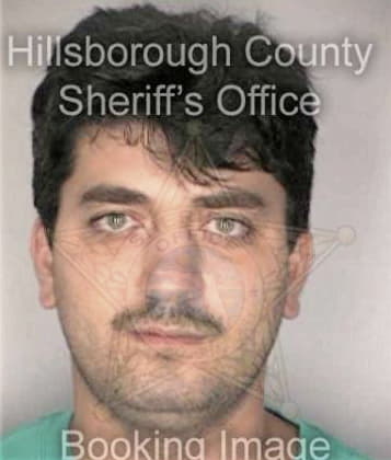 Mario Carrasquillo, - Hillsborough County, FL 