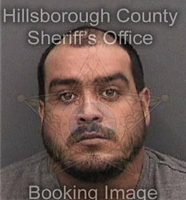 Axel Delossantoslebron, - Hillsborough County, FL 